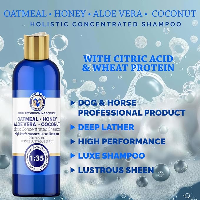 Holistic Concentrated Shampoo