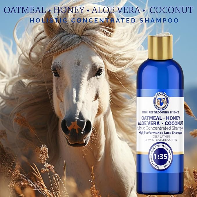 Oatmeal Honey Aloe Vera Coconut Shampoo