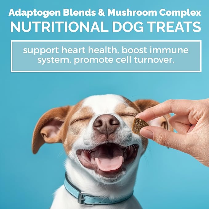 MEDii Pet Super 7 Dogs Mushrooms Blend  - Natural Dog Joint Supplements and Immune Booster