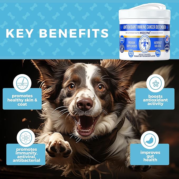 Medii Buy MEDII PET Multivitamin & Mineral Replacement - Multivitamins For ...