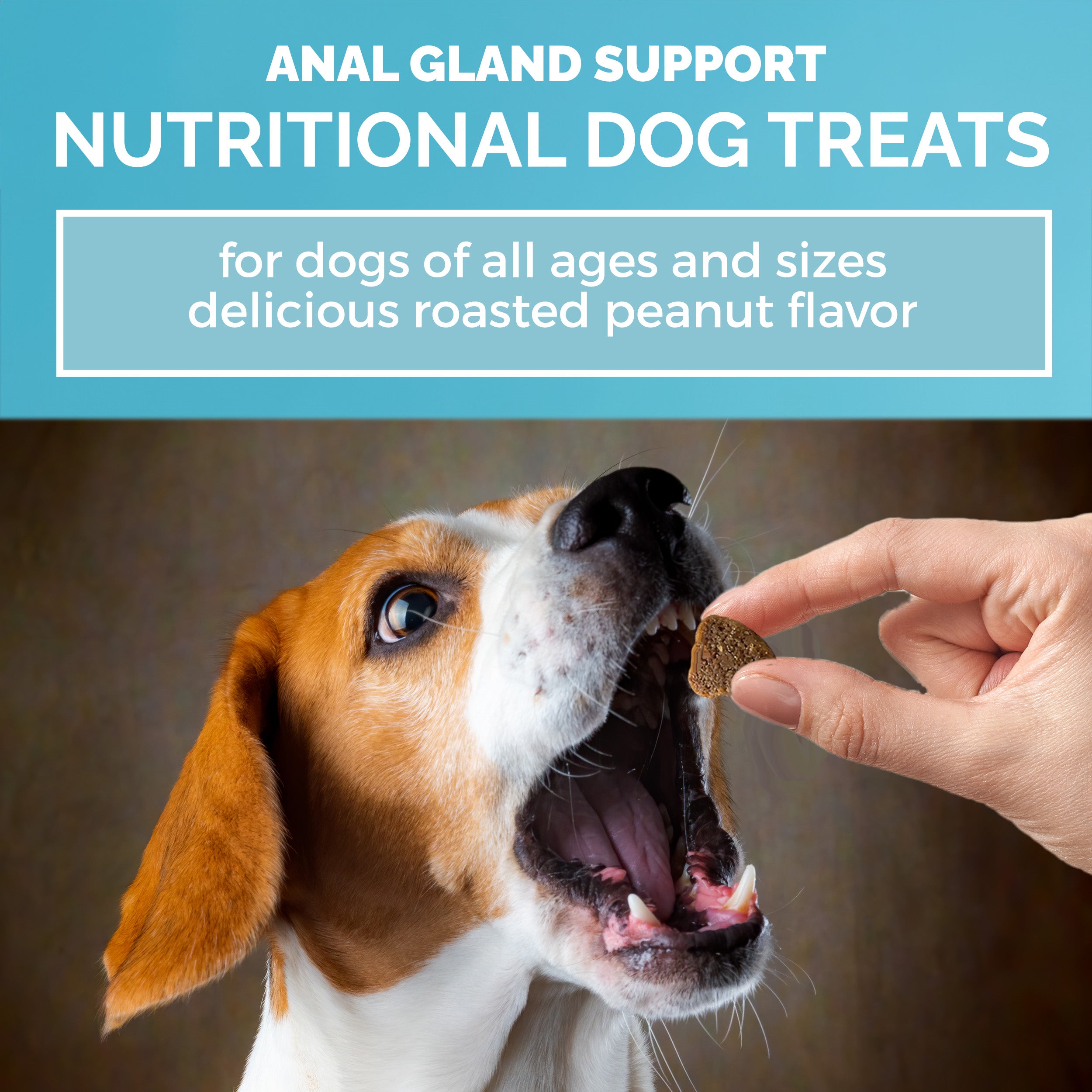 MEDii Pet Anal Gland Support for Dogs - All Natural Chews